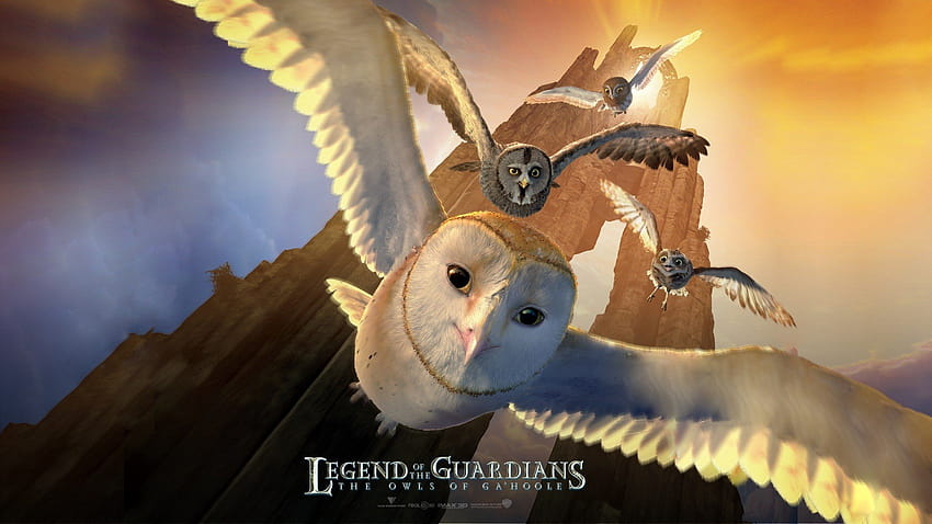 Legend Of The Guardians: The Owls Of Ga'Hoole bilgisayar arka planları ID:54445, legend of the Guardians the Owls of Gahoole HD duvar kağıdı