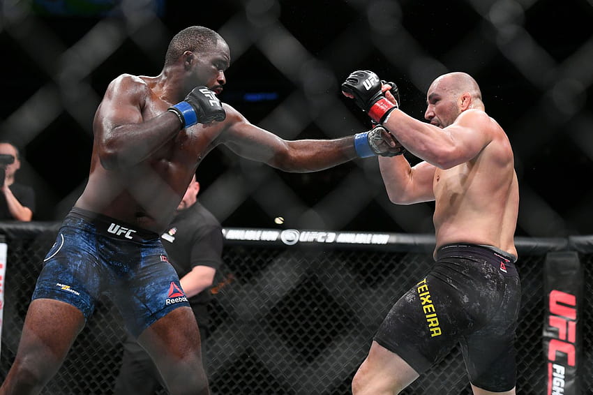 UFC Hamburg results: Corey Anderson wins grueling decision over Glover Teixeira HD wallpaper