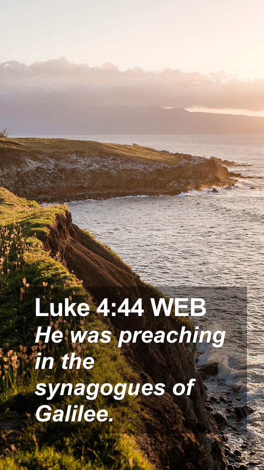 Luke 4:44 WEB Mobile Phone, preaching HD phone wallpaper