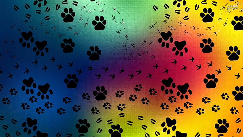 Best 4 3D Paw Print on Hip, rainbow dog HD wallpaper