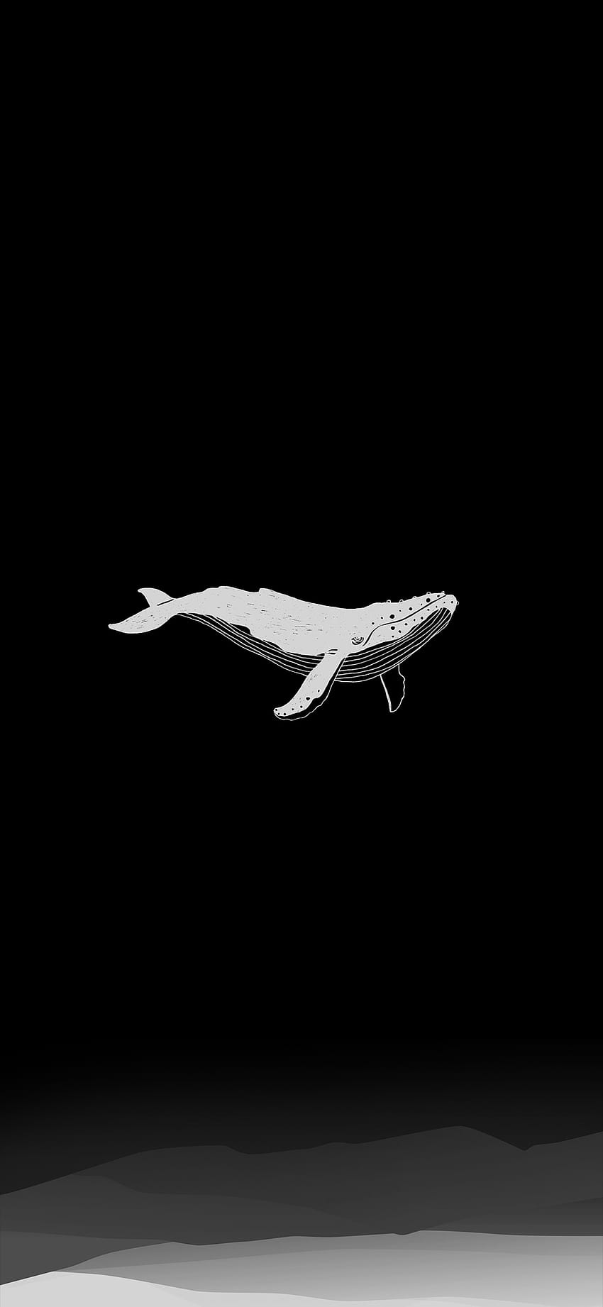 AMOLED Whale, 아몰레드 스마트폰 HD 전화 배경 화면