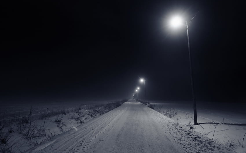 : lampu jalan, salju, musim dingin, sinar bulan, suasana, semangat, cuaca, penerangan, kegelapan, fenomena atmosfer 2560x1600, musim dingin malam jalan Wallpaper HD
