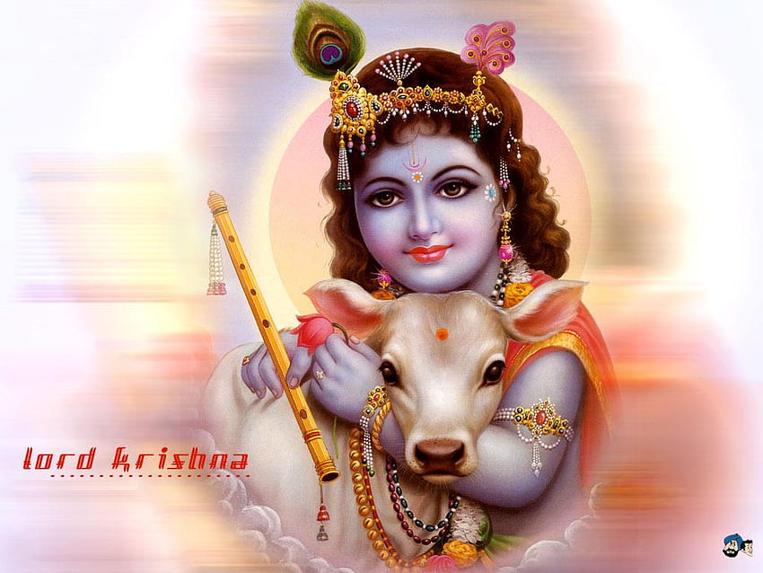 Ramakrishna Goverdhanam Lord Sri Krishna dan [1024x768] untuk Anda, Ponsel & Tablet Wallpaper HD