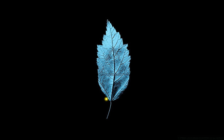 Fringe TV Series A Leaf With An Embedded Isosceles Triangle, flora triangle HD wallpaper