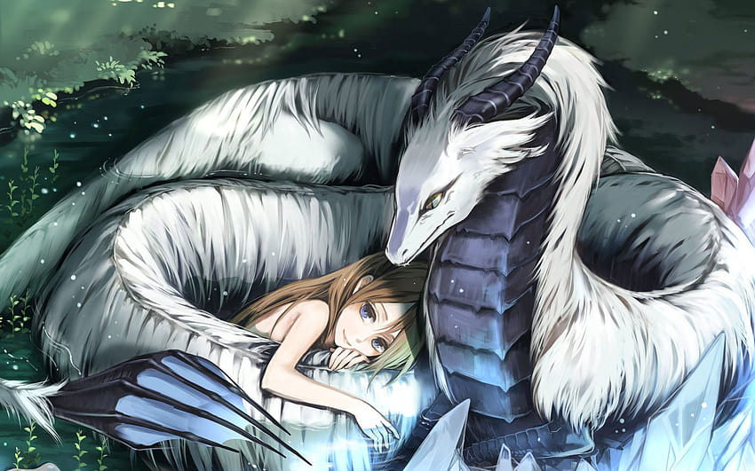 Dragon Love Dragon Couple Hd Wallpaper Pxfuel