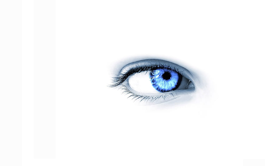 : mata, kacamata, ungu, biru, mata, 1920x1200 px, tubuh manusia, perawatan penglihatan, organ, bulu mata, lensa kontak 1920x1200, kontak mata Wallpaper HD
