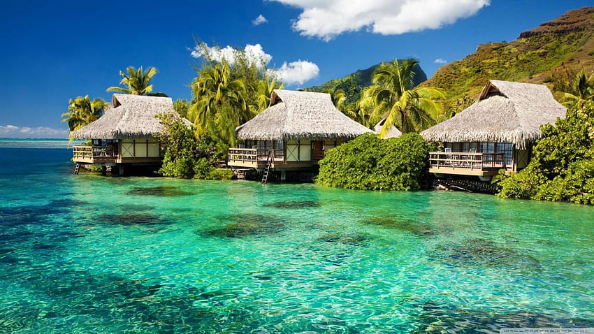 Water Bungalows On A Tropical Island ❤ for, islands HD wallpaper
