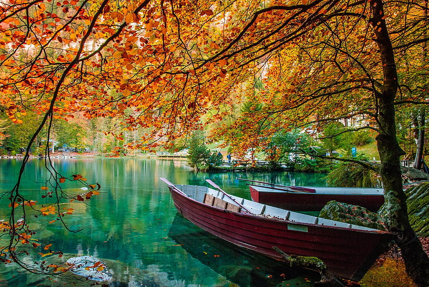 Sweet Autumn, blausee switzerland HD wallpaper | Pxfuel
