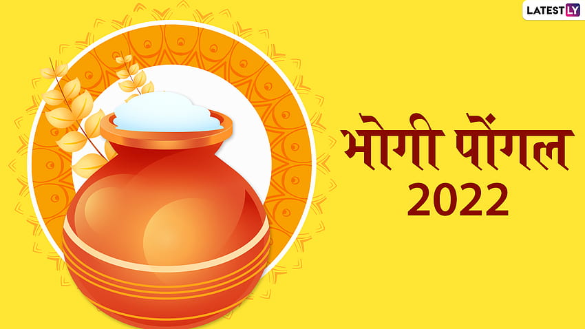 Pongal Greetings 2022: Send these Hindi greetings on Pongal through WhatsApp Stickers and . , ️ MoviesDarpan, pongal 2022 HD wallpaper
