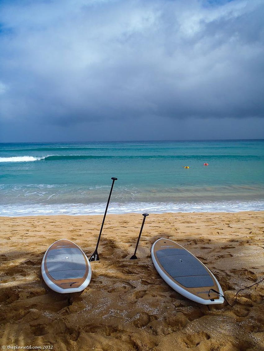 4 Tabla de SUP, paddle surf fondo de pantalla del teléfono