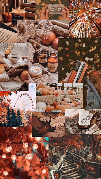 100 Fall Collage Wallpapers  Wallpaperscom