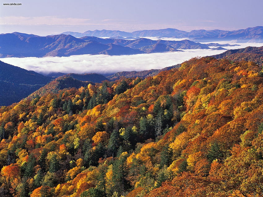 Great Smoky Mountains ภูเขาที่มีควันในฤดูใบไม้ร่วง วอลล์เปเปอร์ HD