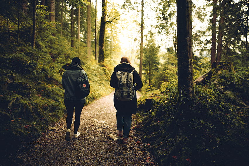 Duas pessoas caminhando na floresta · Estoque, caminhada matinal papel de parede HD