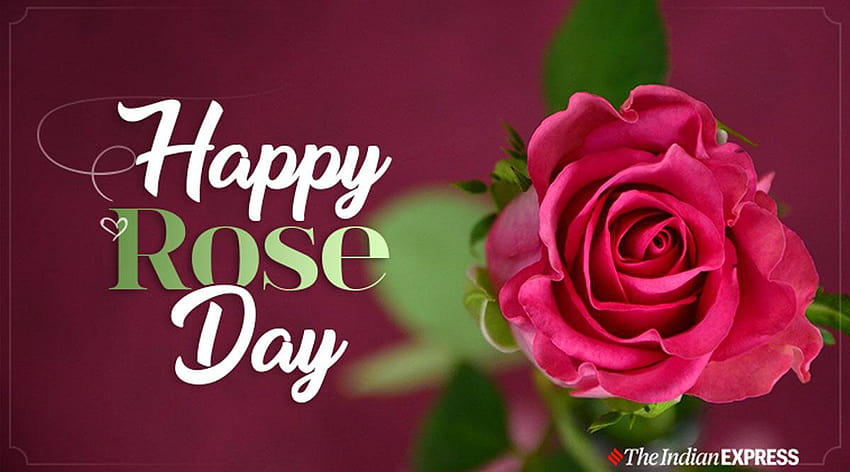 Happy Rose Day 2021: Wishes ...indianexpress, rose propose HD wallpaper
