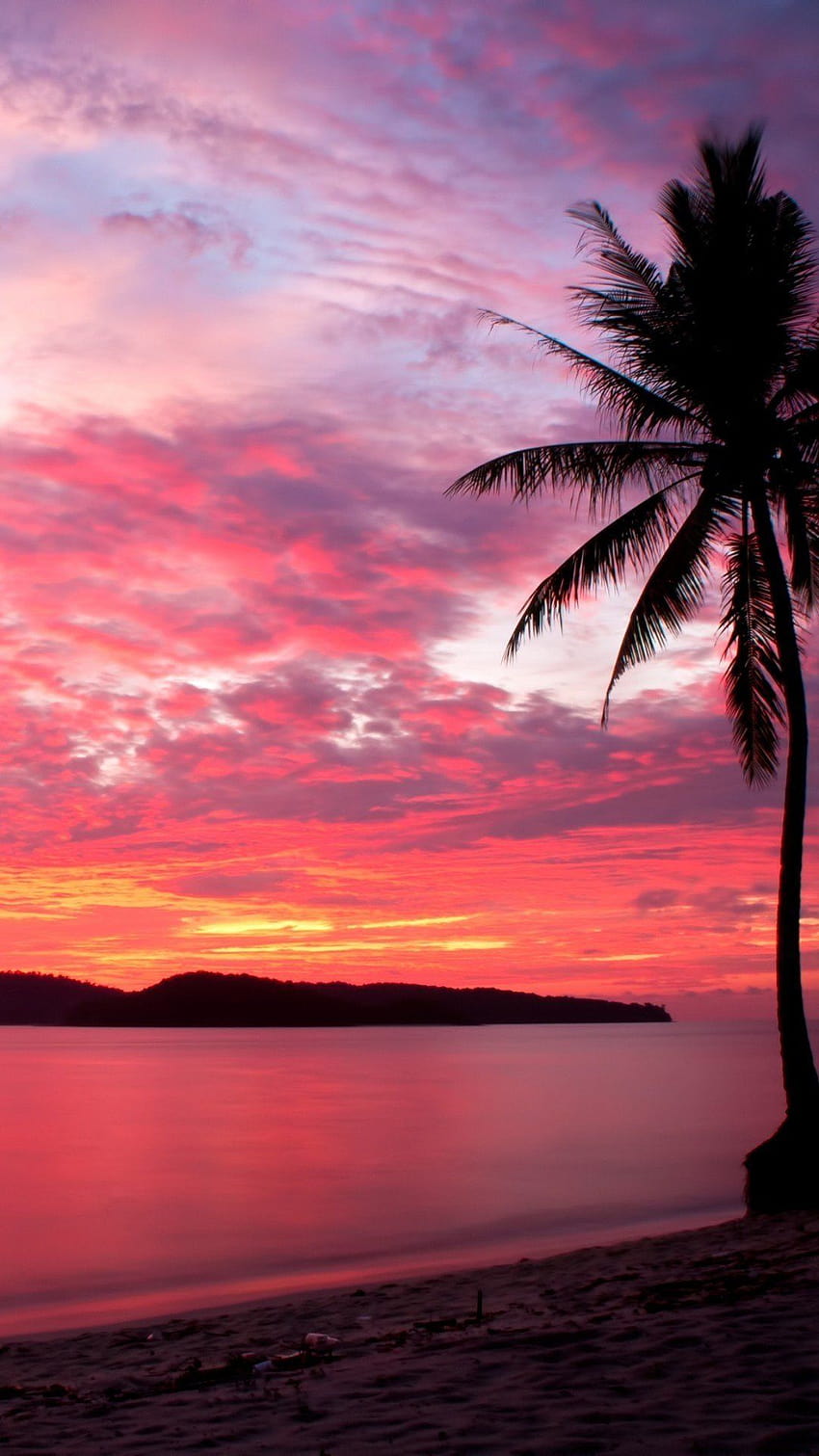 비치 핑크 선셋, 아름다운 해변 선셋 HD 전화 배경 화면