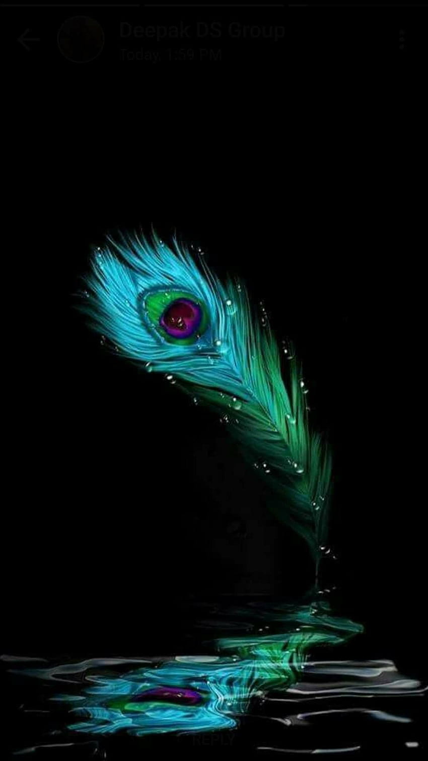Pluma de pavo real ! en 2019, flauta krishna fondo de pantalla del teléfono