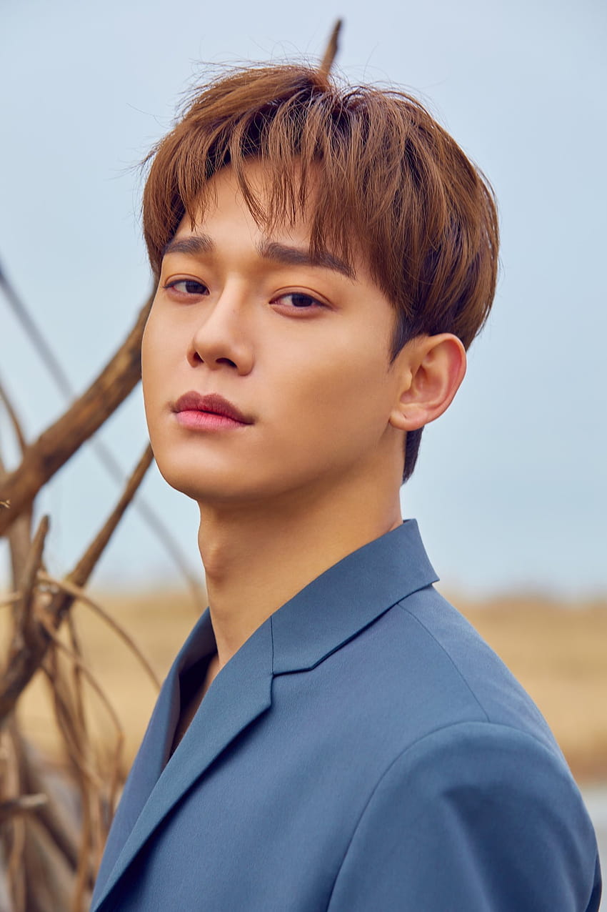 EXO's Chen Solo Debut With 'April, and a flower' : Teaser , Tracklist, Highlight Medley And MV Teaser, jongdae HD phone wallpaper