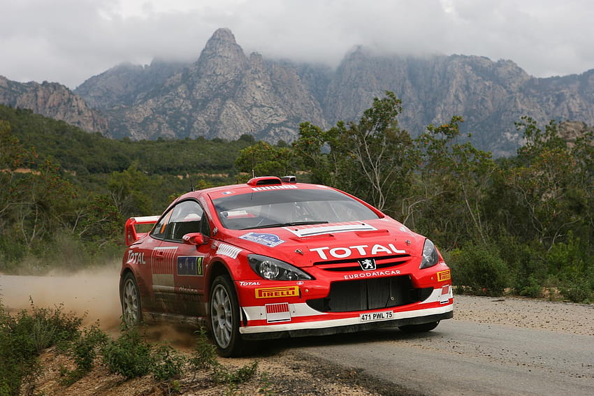 Peugeot 307 WRC HD duvar kağıdı
