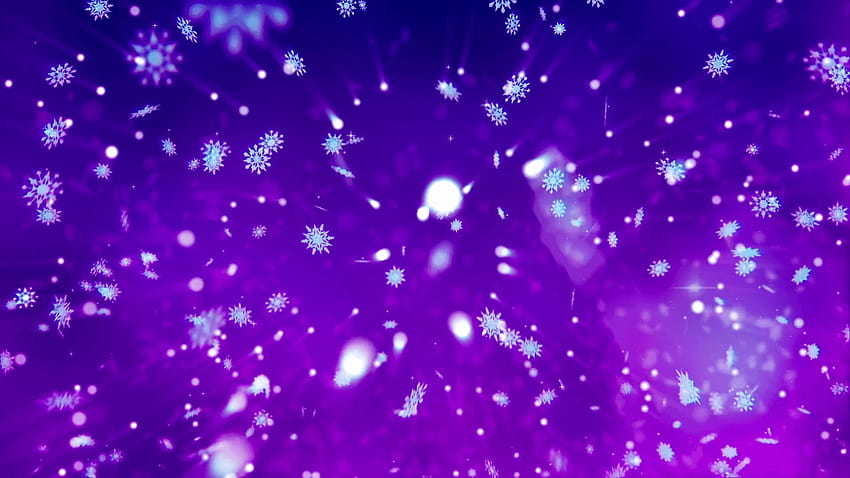 Snow flakes slowly drop down on a violet background. Happy new year, background violet HD wallpaper