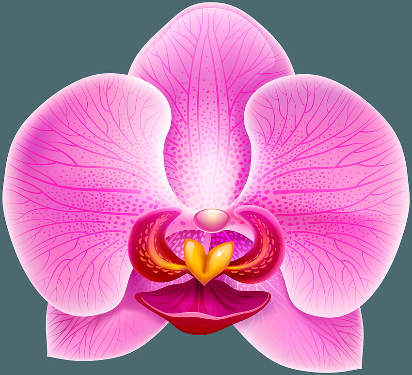 thiruvalluvar clipart flowers