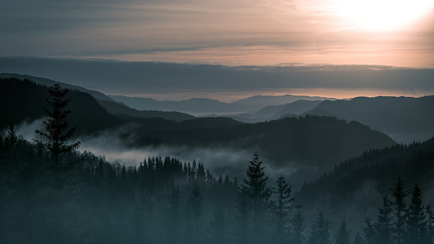Montagnes, Norvège, Brouillard, Forêt, Nature, fog forest Fond d'écran HD