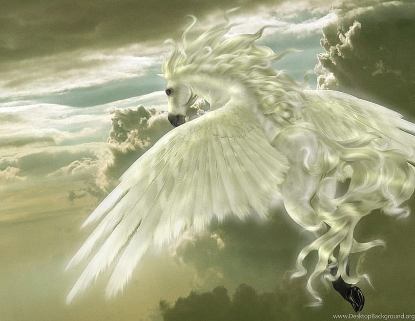· Gallery · 3D Art · Pegasus The Flying Horse HD wallpaper