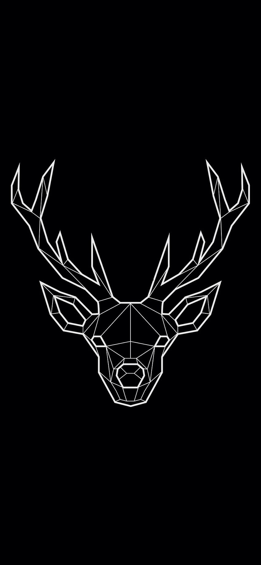 deer 160, deer head HD phone wallpaper