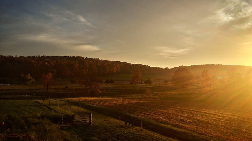 114 Amish Farm And House Stock Photos, High-Res Pictures, and Images -  Getty Images