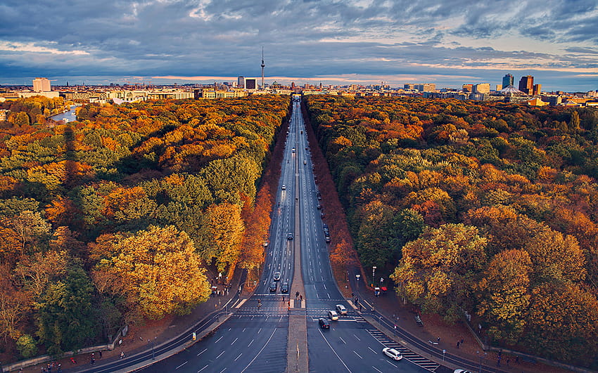 베를린 독일 가을 자연 도로 위에서 나무 1920x1200, 가을 베를린 HD 월페이퍼