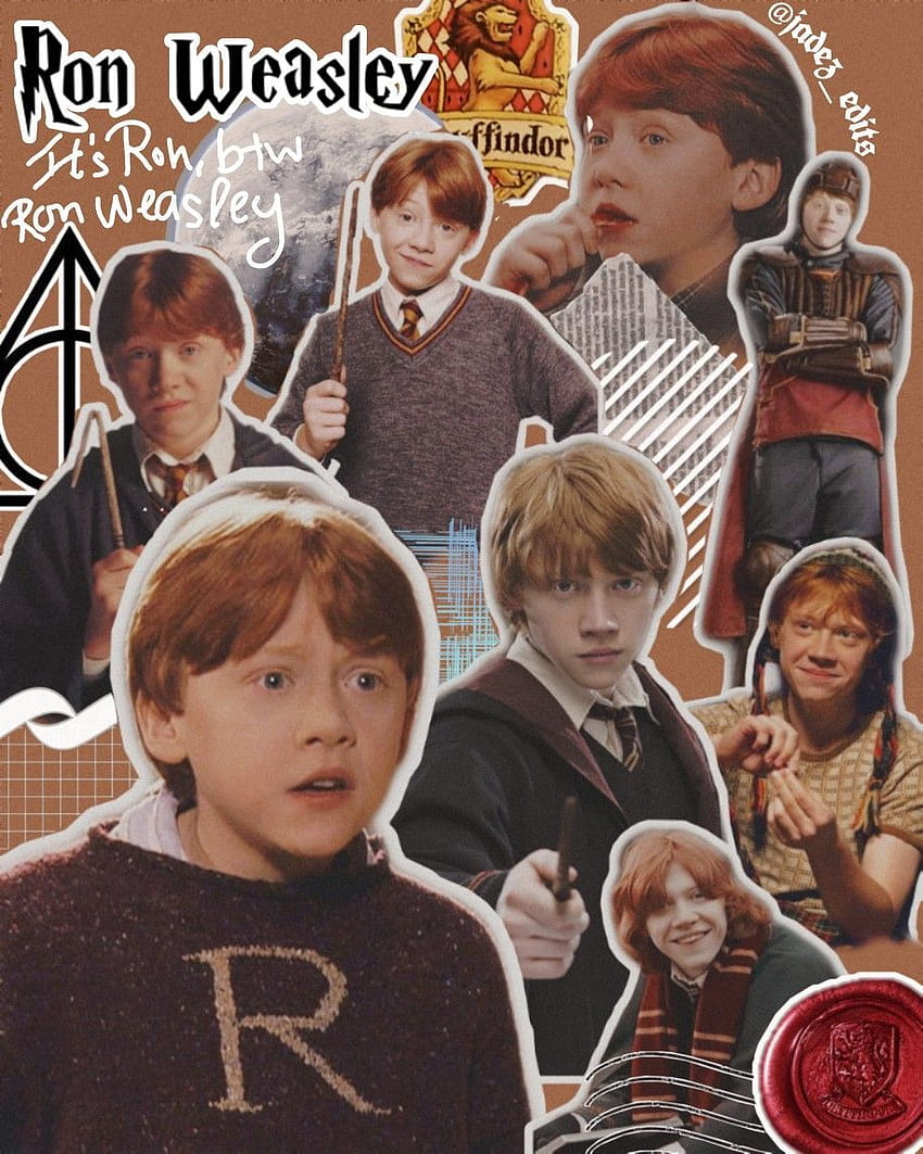 Ron and Hermione Wallpapers on WallpaperDog
