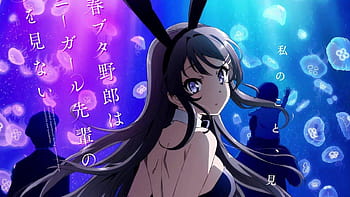 Seishun Buta Yarou wa Bunny Girl Senpai no Yume wo Minai – 02 – Random  Curiosity