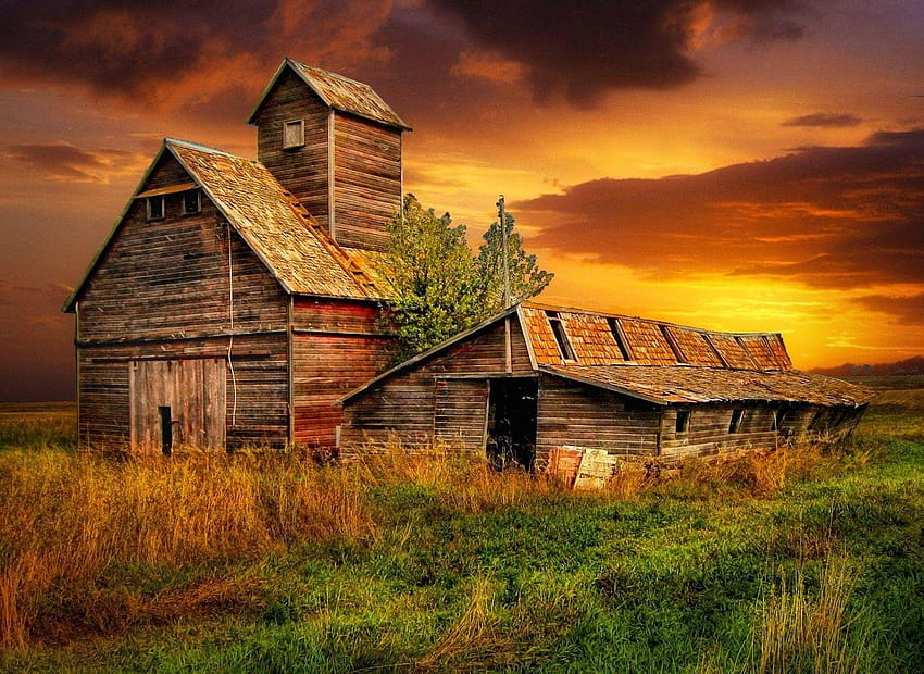 Sunsets: Grain Pig Barns North Dakota Sunset Grass Old Golden Sky HD wallpaper