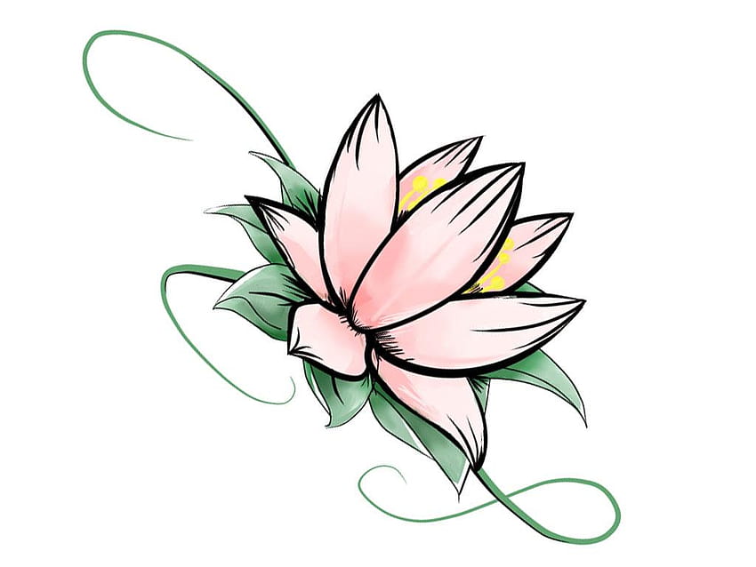 Lotusblumenzeichnung bei GetDrawings HD-Hintergrundbild
