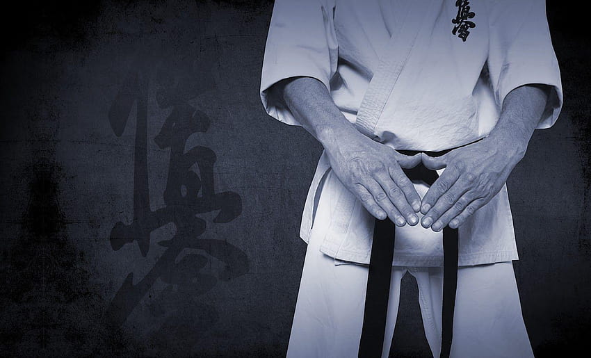 Seni Bela Diri Campuran Kualitas Tinggi, kyokushin karate penuh Wallpaper HD