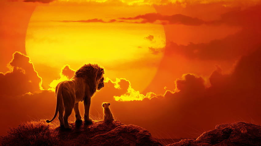 Film The Lion King Movie 2019, disney Wallpaper HD