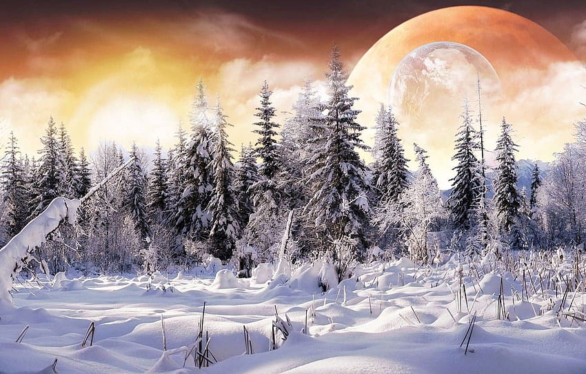 winter, forest, snow, collage, planet , section фантастика, gray winter collage computer HD wallpaper