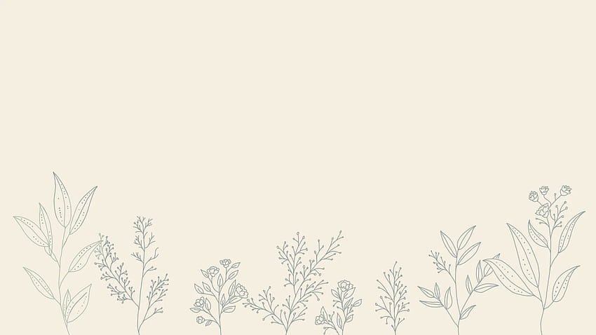 Sperrschirm Pflanze Minimalistische, ästhetische minimalistische Pflanze HD-Hintergrundbild