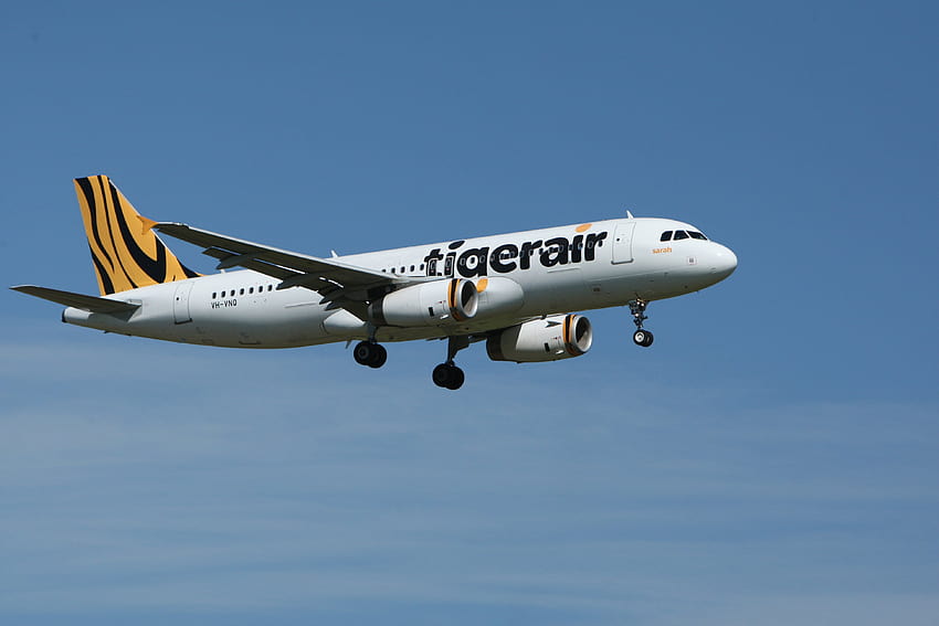 Tigerair Airplane Taken, airbus a320 family HD wallpaper