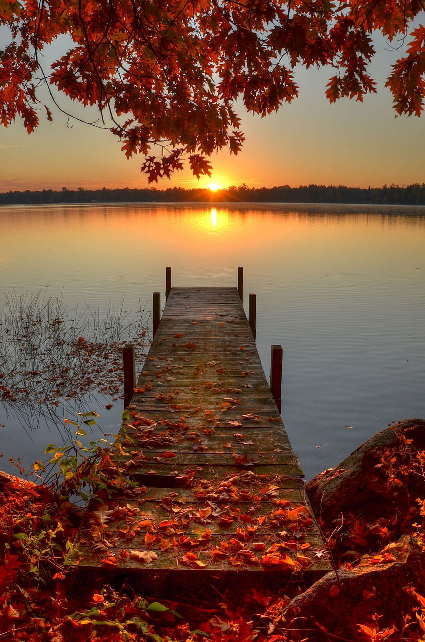 「カントリー リビング」が秋を愛する 14 の理由、湖から昇る秋の日の出 HD電話の壁紙
