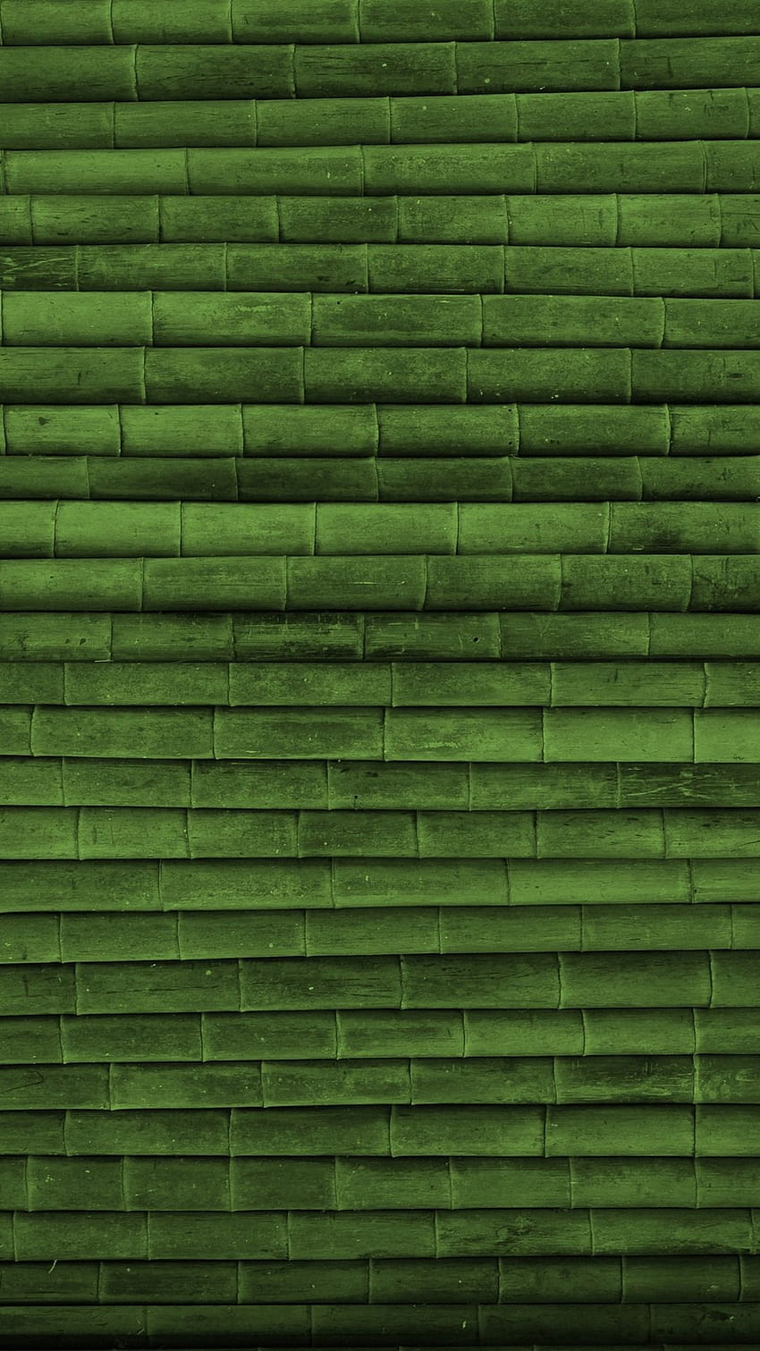 Green Bamboo Wood Texture iPhone 6 Plus, iphone green HD phone wallpaper