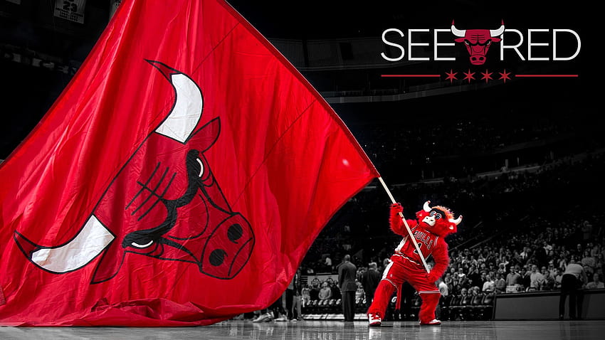 Chicago Bulls  Chicago Bulls עדכןעדכנה את תמונת הנושא