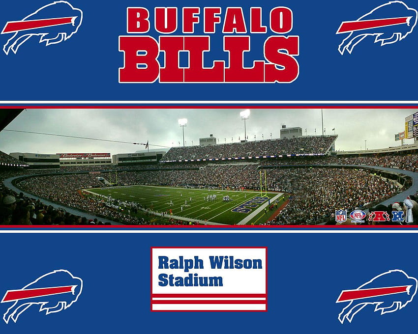 Buffalo Bills 2015, buffalo ny HD wallpaper | Pxfuel