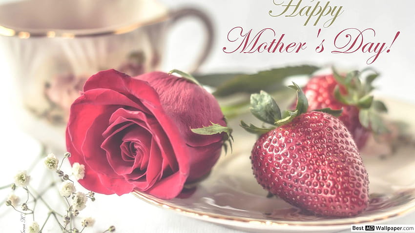 Czerwona róża i truskawka z okazji Dnia Matki, świętuj dzień matki Tapeta HD