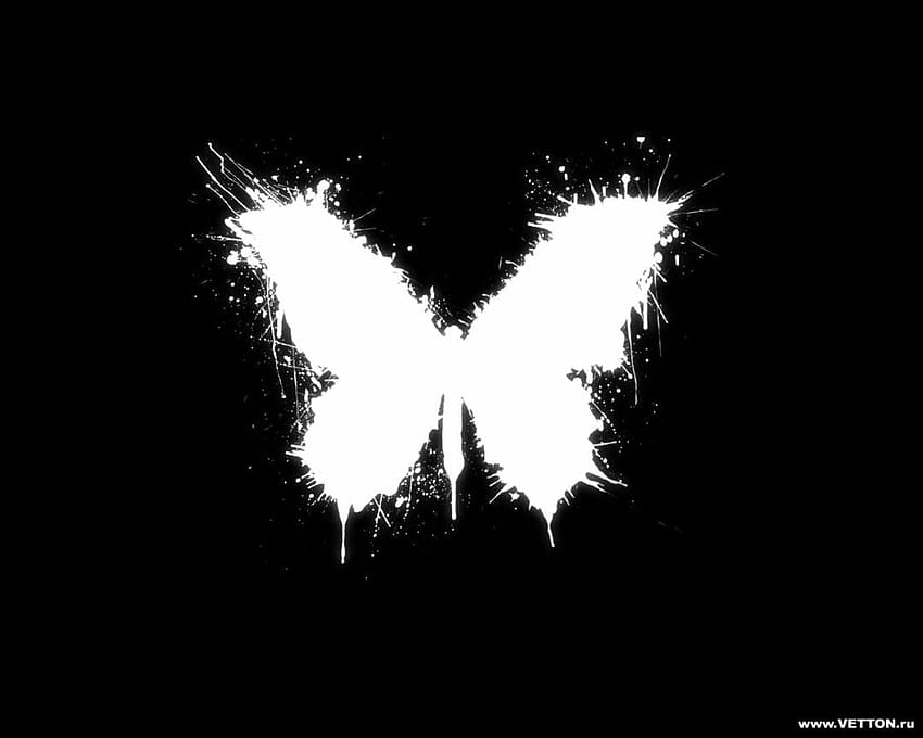 2219 Minimalism Black Paint Splatter Monochrome Butterfly White Black Backgrounds HD wallpaper