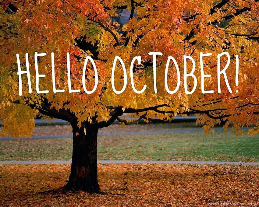 가을 나무 숲 풍경 자연 잎 10월 ... 배경, 안녕하세요 10월 HD 월페이퍼
