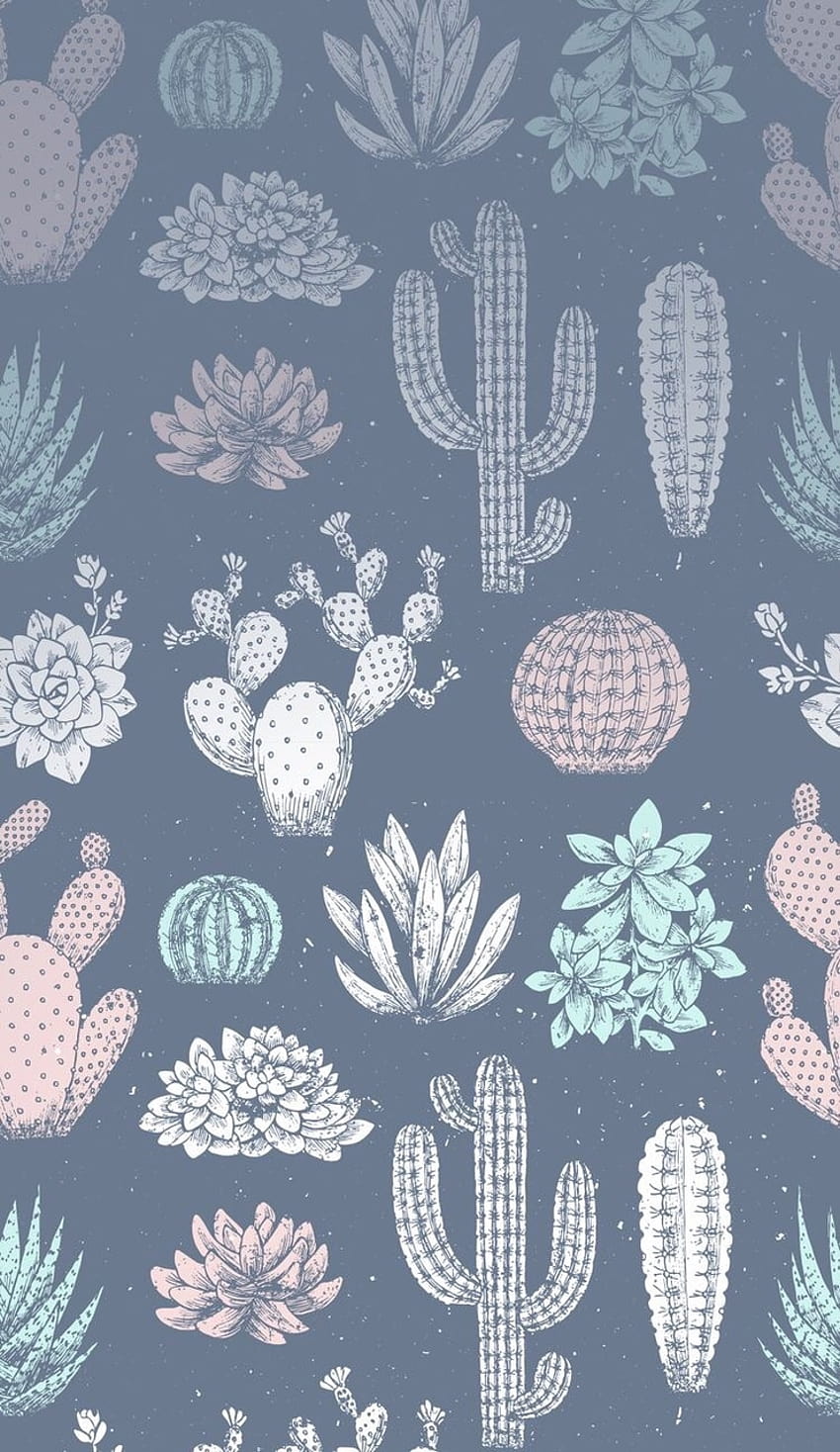 Kaktus, Dan Lucu, kaktus estetika wallpaper ponsel HD