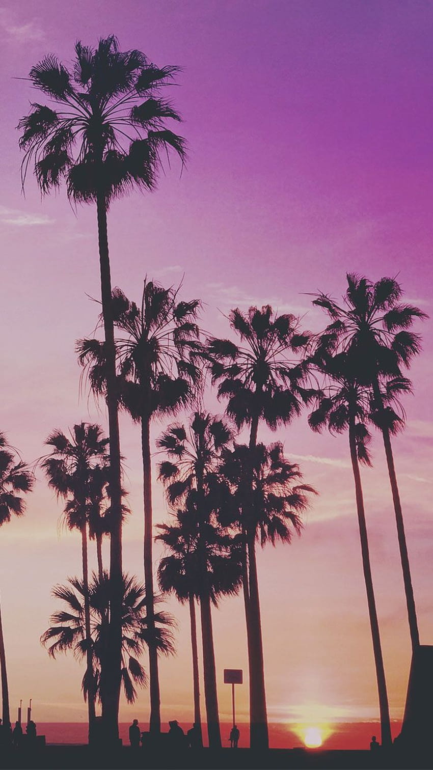 Palm Tree posted by Sarah Simpson, purple palm trees HD phone wallpaper