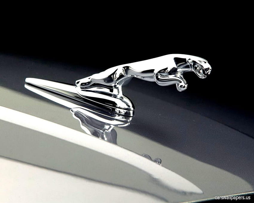 Jaguar logo for iphone HD wallpapers | Pxfuel