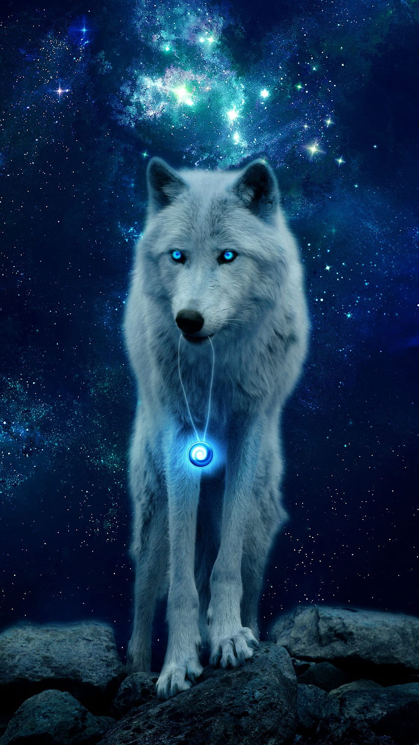 1440x2560 wolf, hill, glow, predator, wildlife, hop q samsung galaxy s6, s7, edge, note, lg g4 backgrounds, glowing wolf HD phone wallpaper