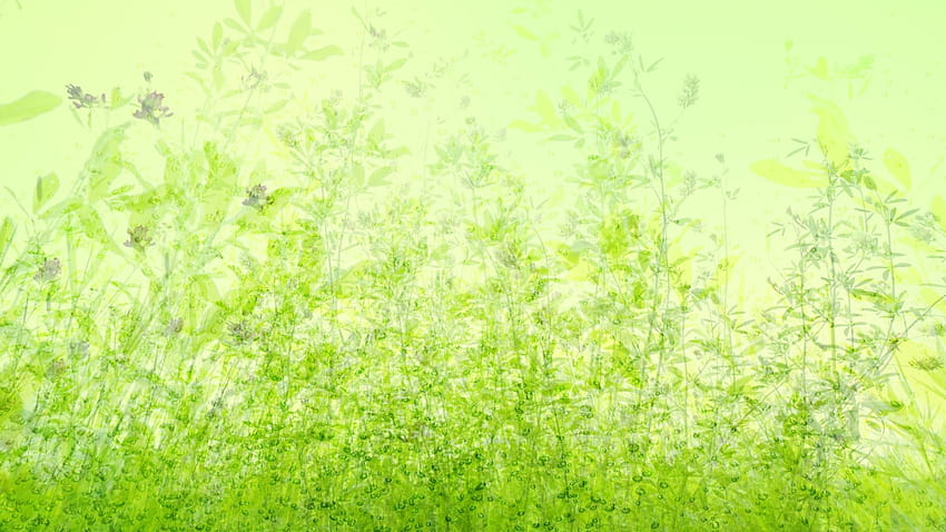 Zelená a přírodní HD wallpaper